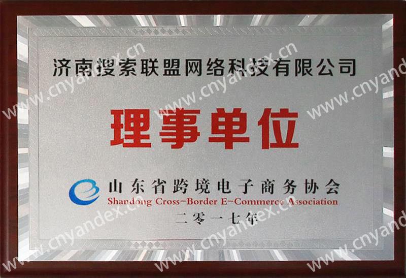 山東省跨境電子商務(wù)協(xié)會理事單位